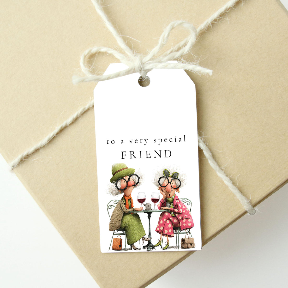 Funny Friend Gift Tags Pack of 6, To a Very Special Friend Gift Tag, Funny Ladies Gift Tags, Whimsical Friend Birthday Gift Wrap Tag