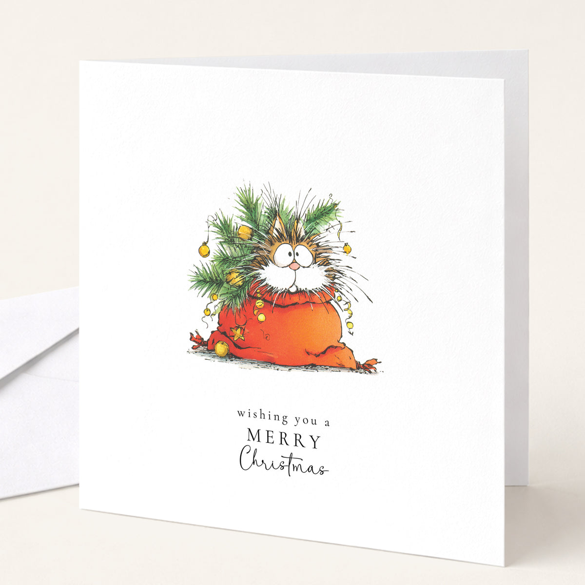 Cat Christmas Cards, Pack of 6 Different Designs