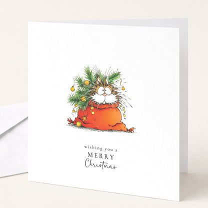 Cat Christmas Cards, Pack of 6 Different Designs