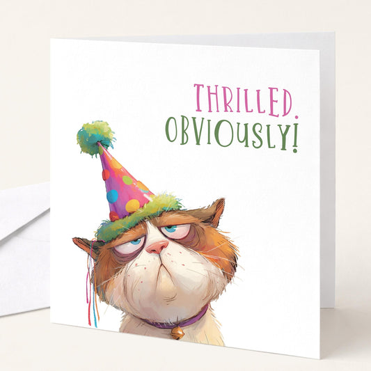 Funny cat birthday card by Whimsi Lilley featuring a thrilled, obviously amused cat illustration on a colorful birthday card.