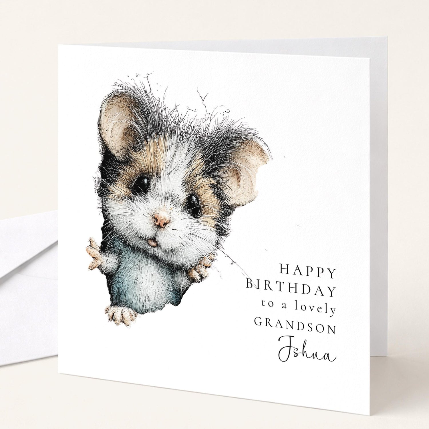 Grandson Birthday Card - Whimsi Lilley